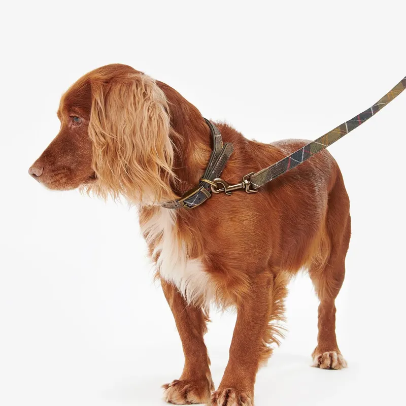 Barbour Tartan/Webbing Dog Lead in Classic Tartan-2
