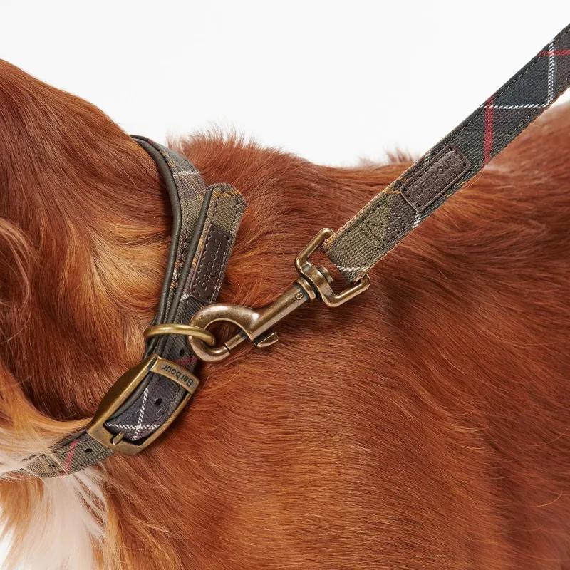Barbour Tartan/Webbing Dog Lead in Classic Tartan-3