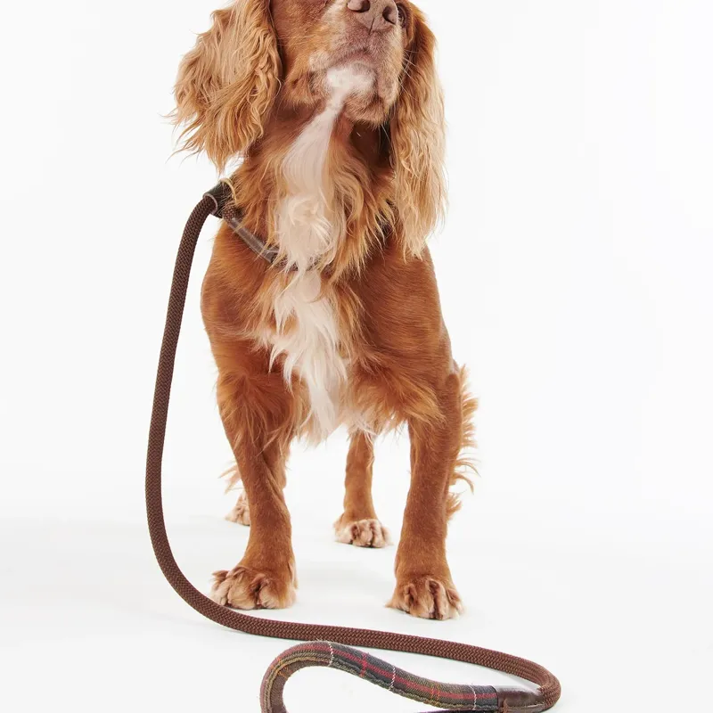 Barbour Tartan Trimmed Slip Dog Lead in Classic Tartan-1