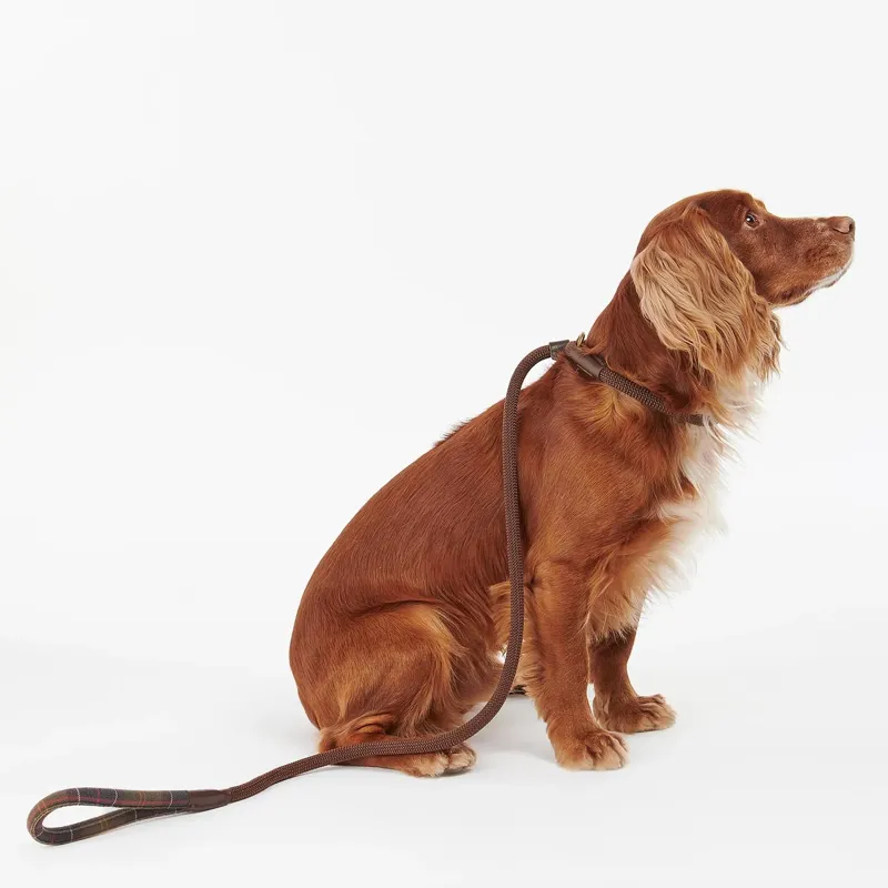 Barbour Tartan Trimmed Slip Dog Lead in Classic Tartan-2