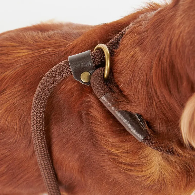 Barbour Tartan Trimmed Slip Dog Lead in Classic Tartan-6