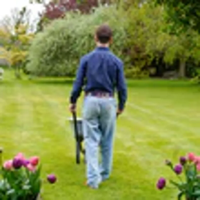 Pioneros Polo Belt Berry/Navy/Pink -2