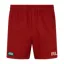 Ridgeline Unisex Hose down Short Rhubarb
