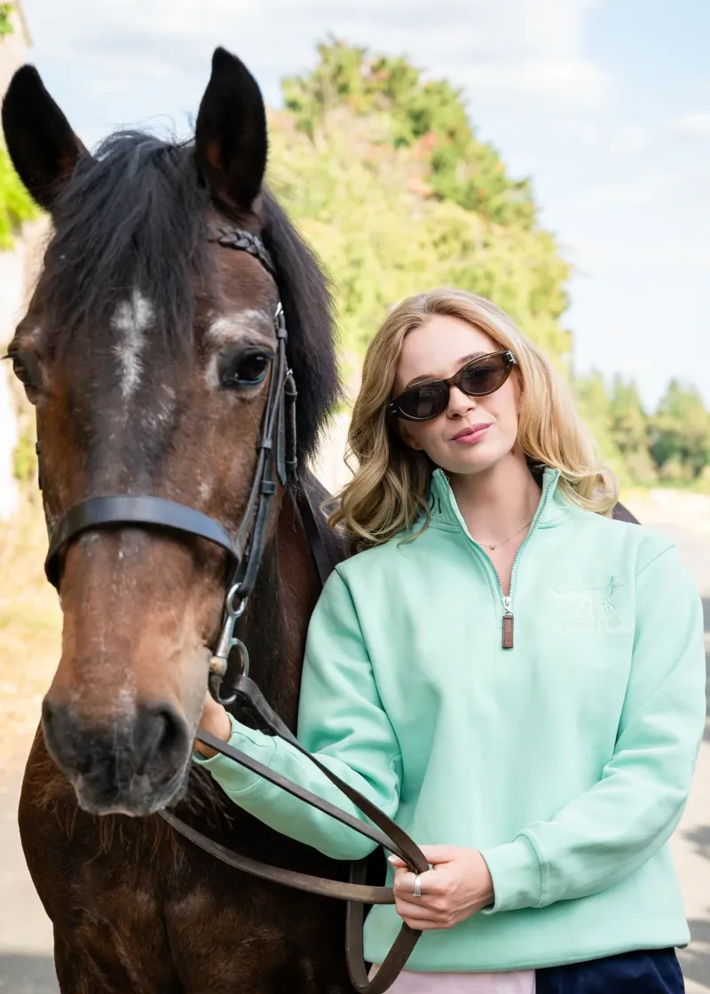 Cotswold Fox Tetbury Quarter Zip in Mint-2