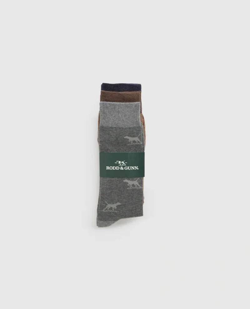 Rodd and Gunn Dogs-A-Plenty 3 Pack Sock in Washed Multi-2