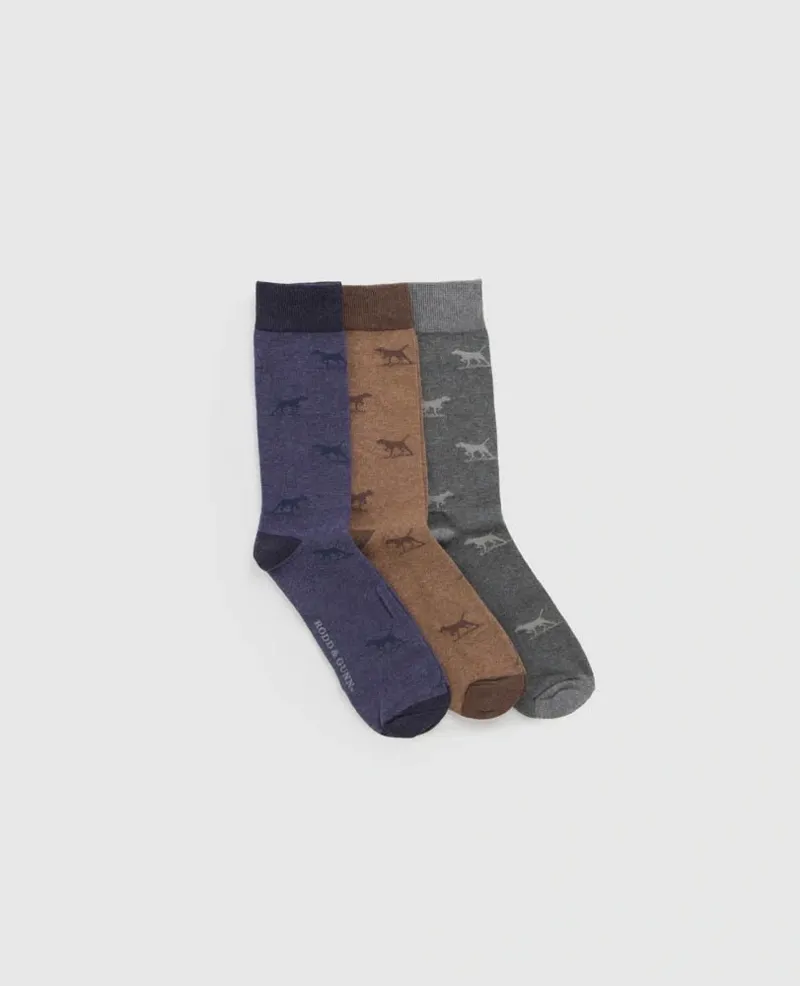 Rodd and Gunn Dogs-A-Plenty 3 Pack Sock in Washed Multi-1