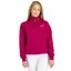 Cotswold Fox Tetbury Quarter Zip Raspberry