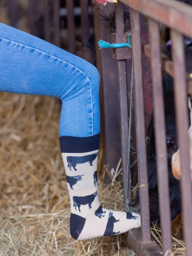 Country Moos Angus Cow Crew Socks UK3.5-6-3