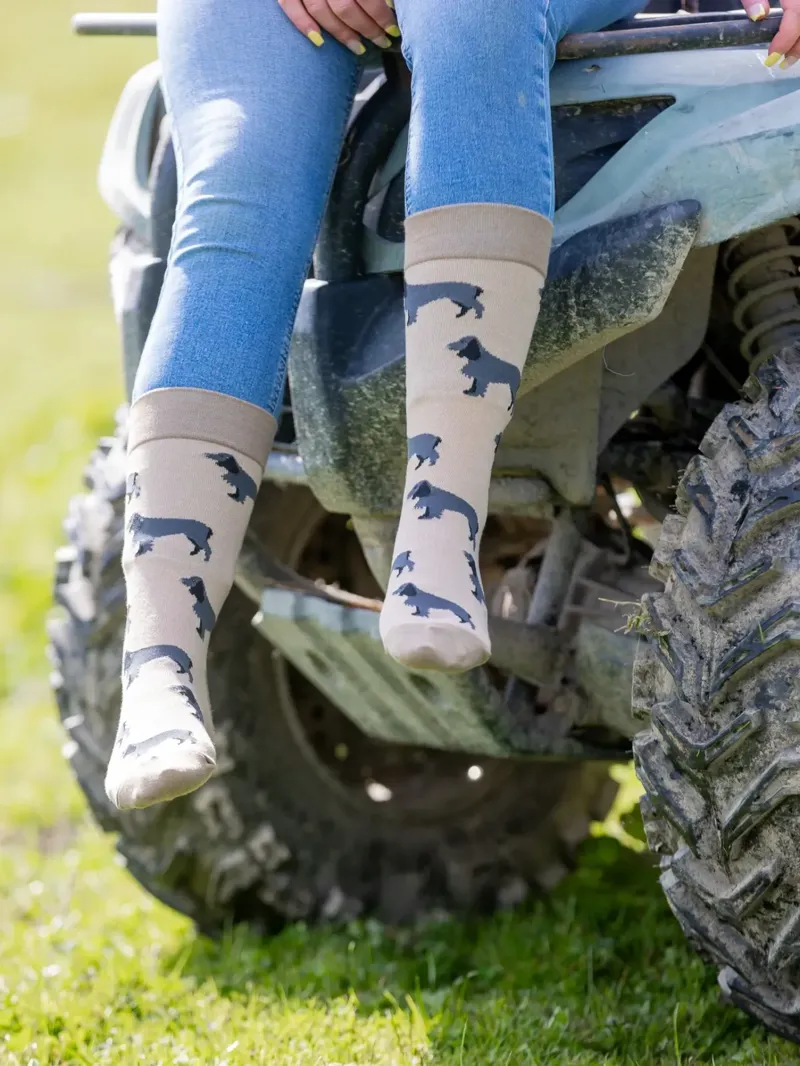 Country Moos Cocker Spaniel Crew Socks UK3.5-6 in Black-1