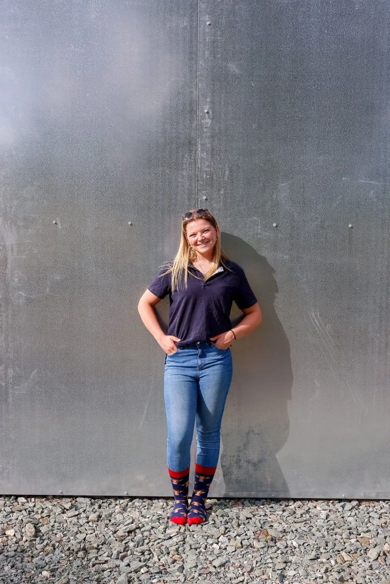 Country Moos Navy Cow Crew Socks UK3.5-6-3