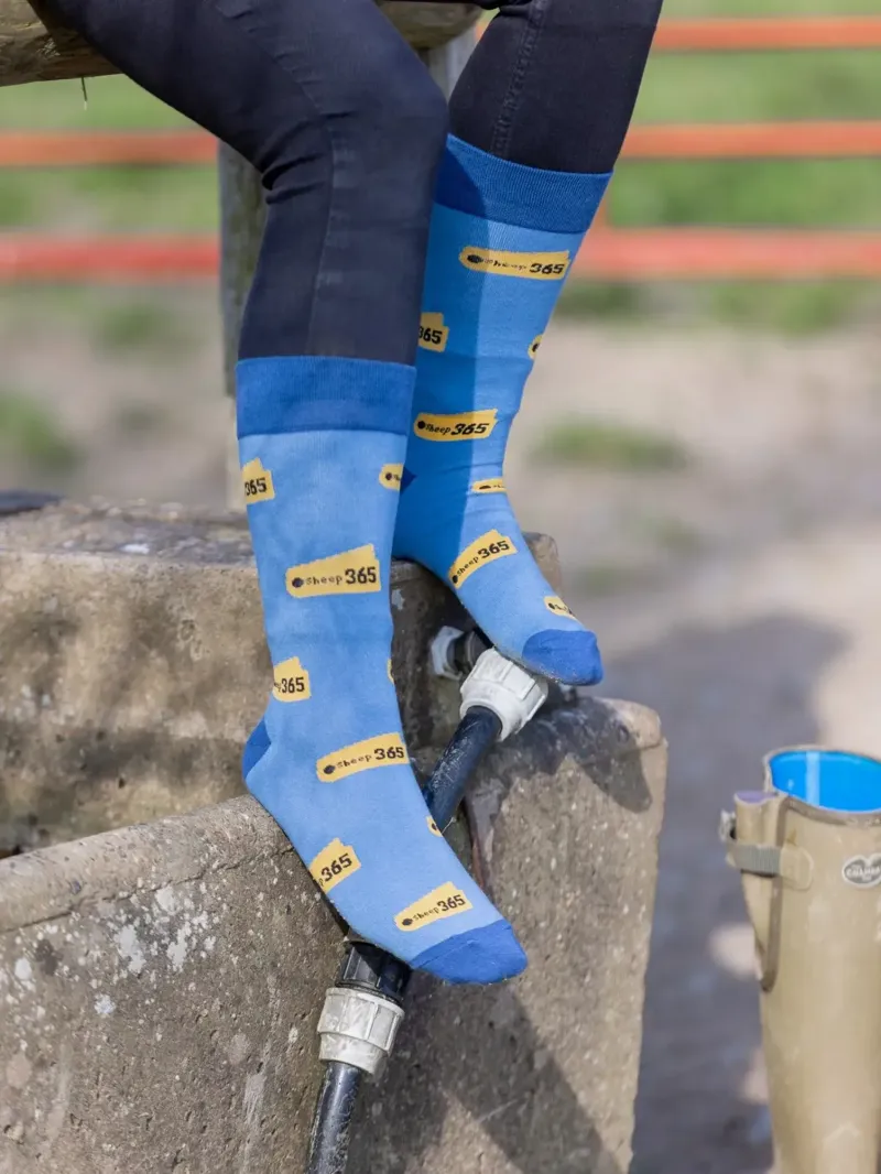 Country Moos Sheep 365 Crew Socks UK7-11 in Blue-1