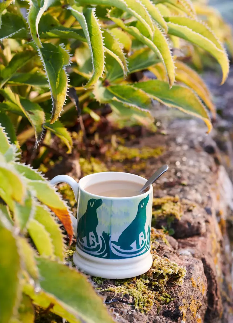 Emma Bridgewater Puddles 1/2 Pint Mug-5