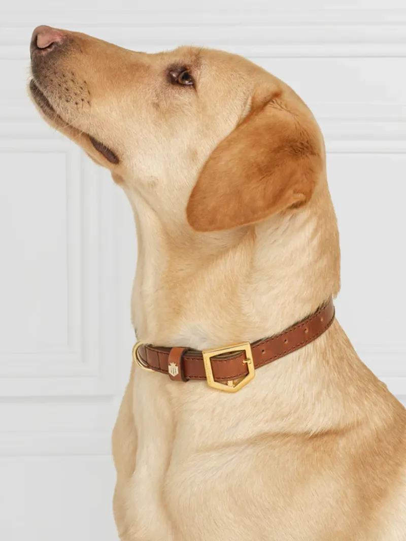 Fairfax and Favor Fitzroy Dog Collar Tan Leather-6