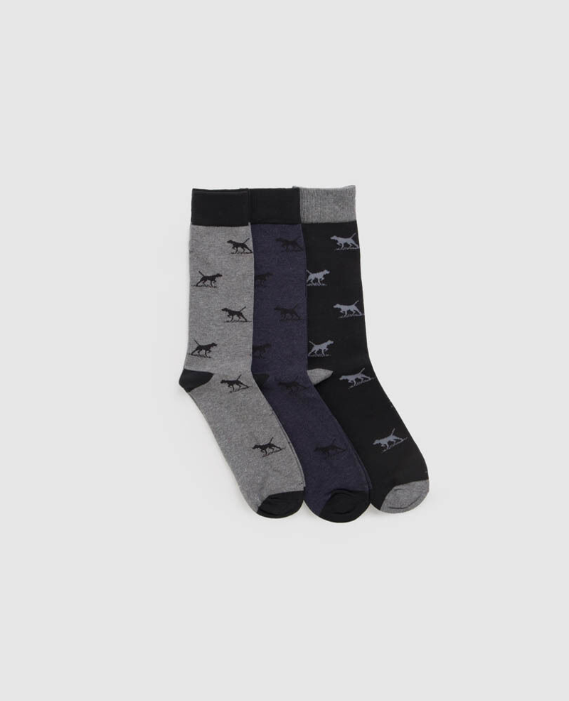 Rodd and Gunn Dogs-A-Plenty 3 Pack Socks-2