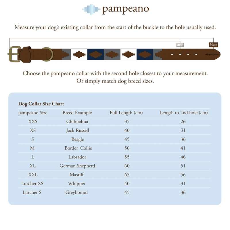 Pampeano Pampa Dog Collar Petalo-1