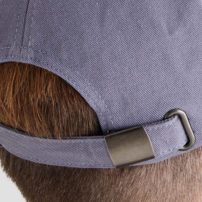 Ridgeline Signature Cap in Storm-1