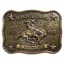 RM Williams Cloudbuster Trophy Buckle in Antique Brass