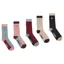 Schoffel Country Bamboo Women's Sock Box of 5 4-7 in Bee Mix